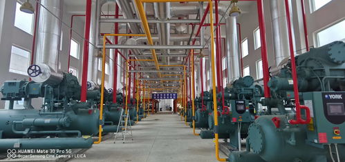 新時(shí)期中國(guó)物流冷庫(kù)項(xiàng)目 庫(kù)體保溫 制冷系統(tǒng)設(shè)計(jì)與設(shè)備選擇